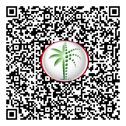 Permit QR Code