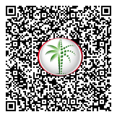 Permit QR Code