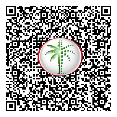 Permit QR Code