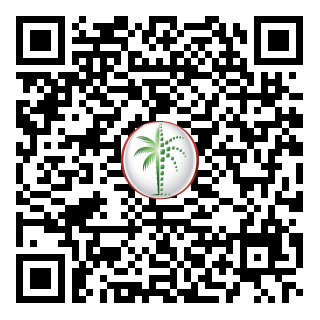 DLD QR Code