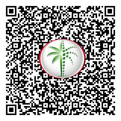 Permit QR Code