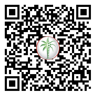 DLD QR Code