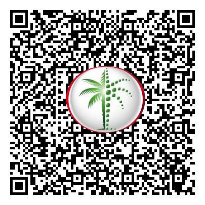 Permit QR Code
