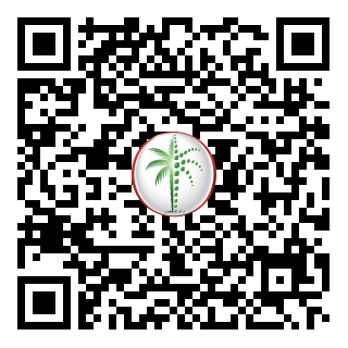 DLD QR Code