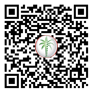 DLD QR Code