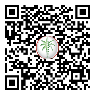DLD QR Code