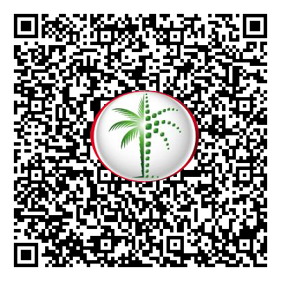 Permit QR Code