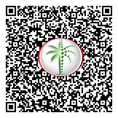 Permit QR Code