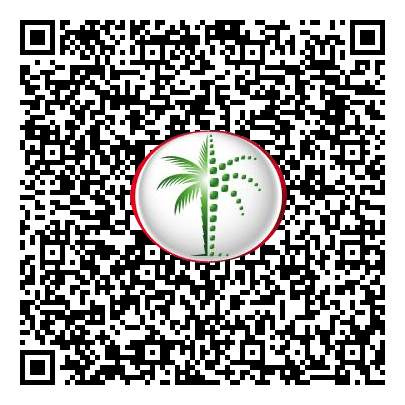 Permit QR Code