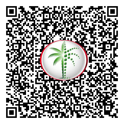 Permit QR Code