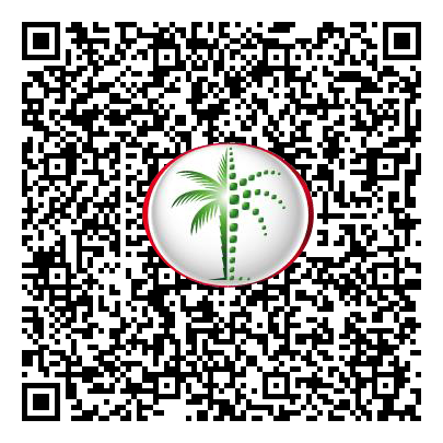 Permit QR Code