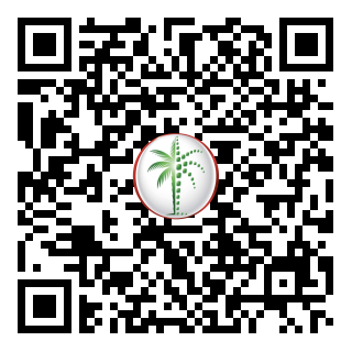 DLD QR Code
