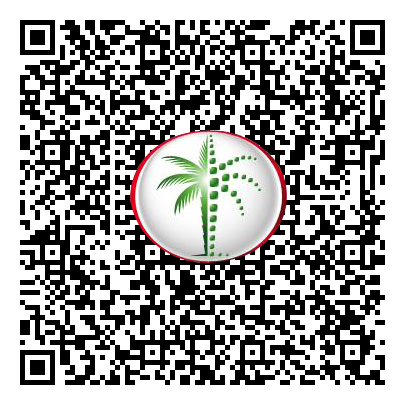 Permit QR Code