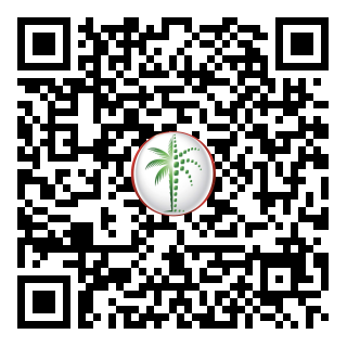 DLD QR Code