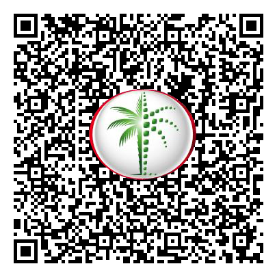 Permit QR Code