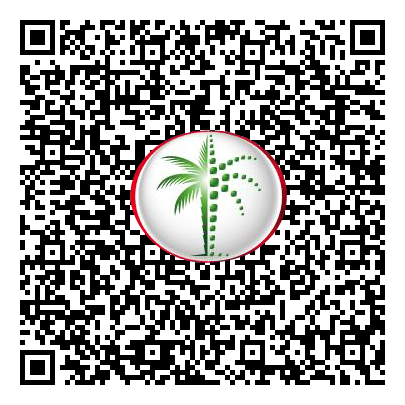 Permit QR Code