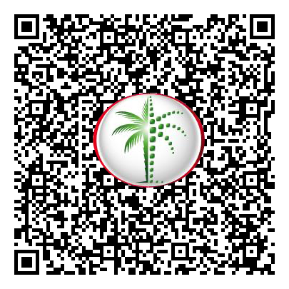 Permit QR Code