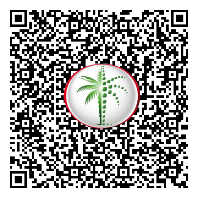 Permit QR Code