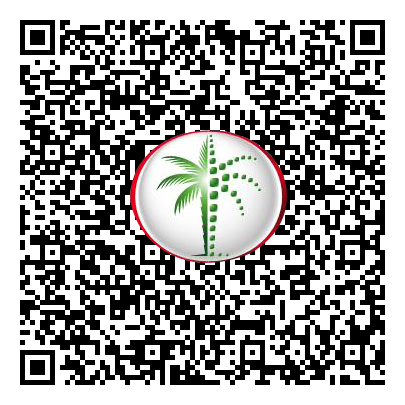 Permit QR Code
