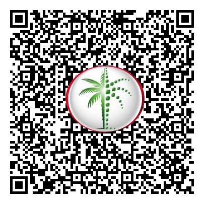 Permit QR Code