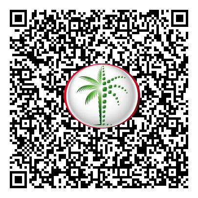 Permit QR Code