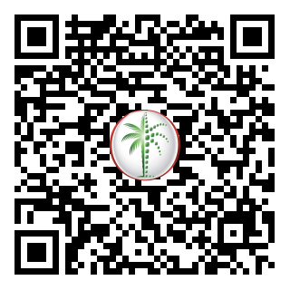 DLD QR Code