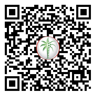 DLD QR Code