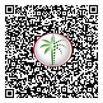 Permit QR Code