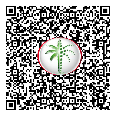 Permit QR Code