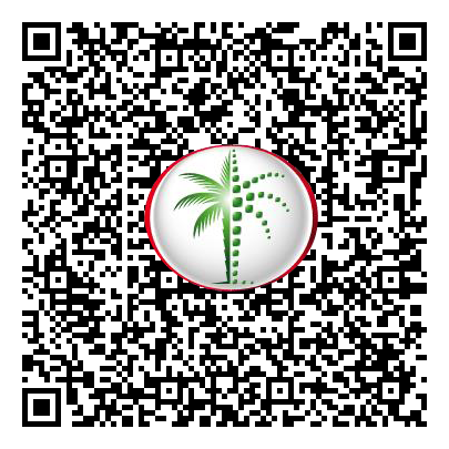 Permit QR Code