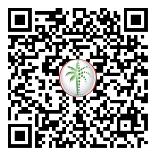 DLD QR Code