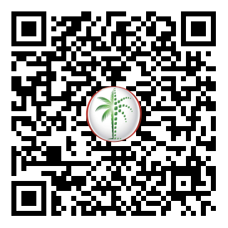 DLD QR Code