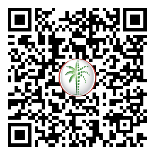DLD QR Code