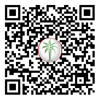 DLD QR Code