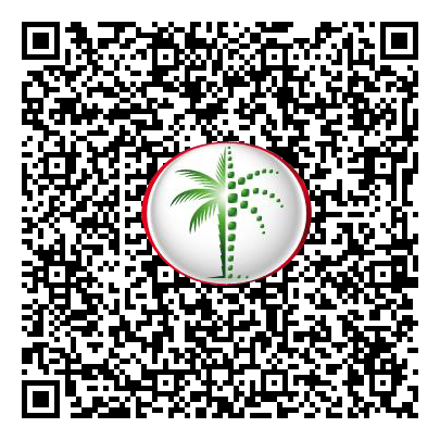 Permit QR Code