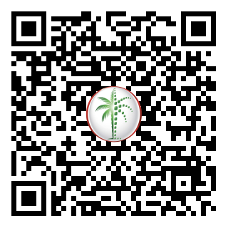 DLD QR Code
