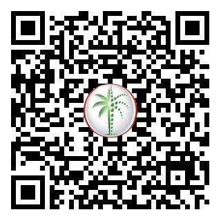 DLD QR Code