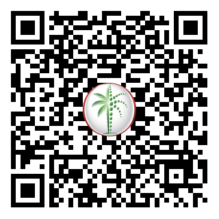 DLD QR Code