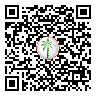 DLD QR Code