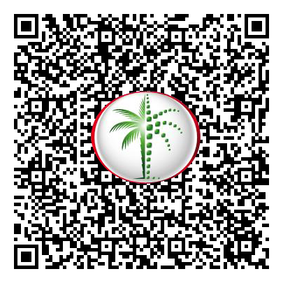 Permit QR Code