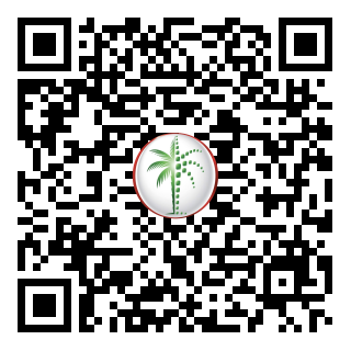 DLD QR Code
