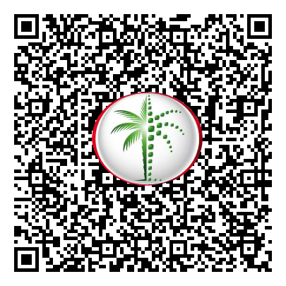Permit QR Code