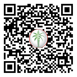 DLD QR Code