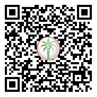 DLD QR Code