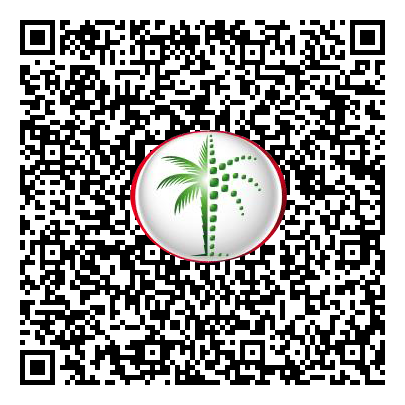 Permit QR Code