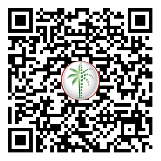 DLD QR Code