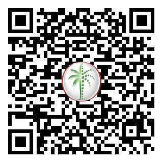DLD QR Code