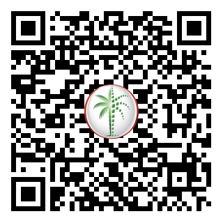 DLD QR Code