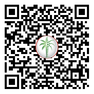 DLD QR Code