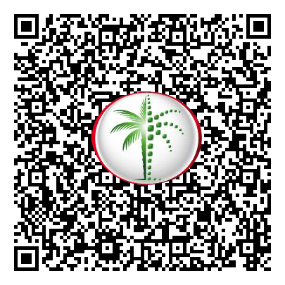 Permit QR Code